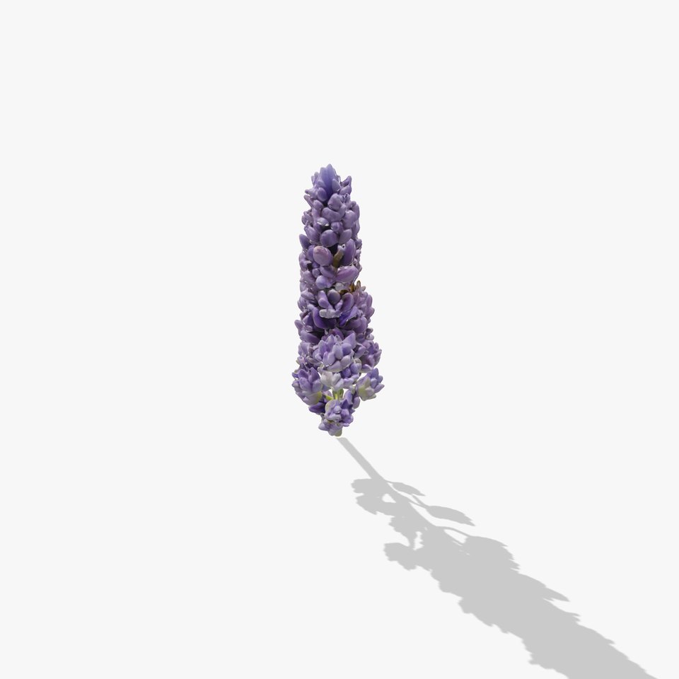 Lavender Flower Botanical Charm model pack